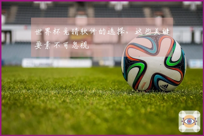 世界杯竞猜软件的选择，这些关键要素不可忽视