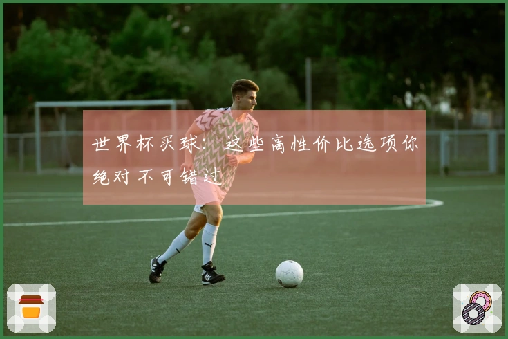 世界杯买球：这些高性价比选项你绝对不可错过