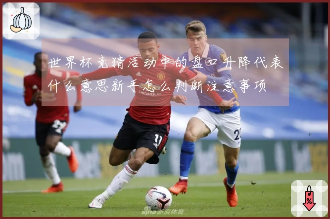 世界杯竞猜活动中的盘口升降代表什么意思新手怎么判断注意事项